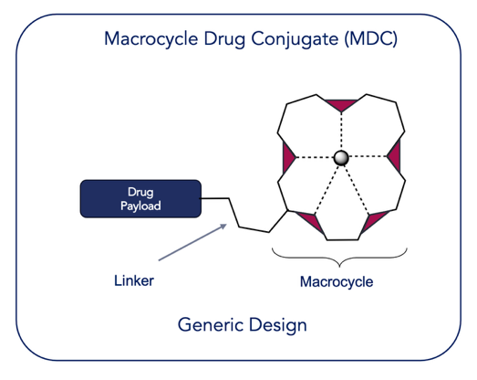 Generic illustration of a Macrocycle Drug Conjugate (MDC).
